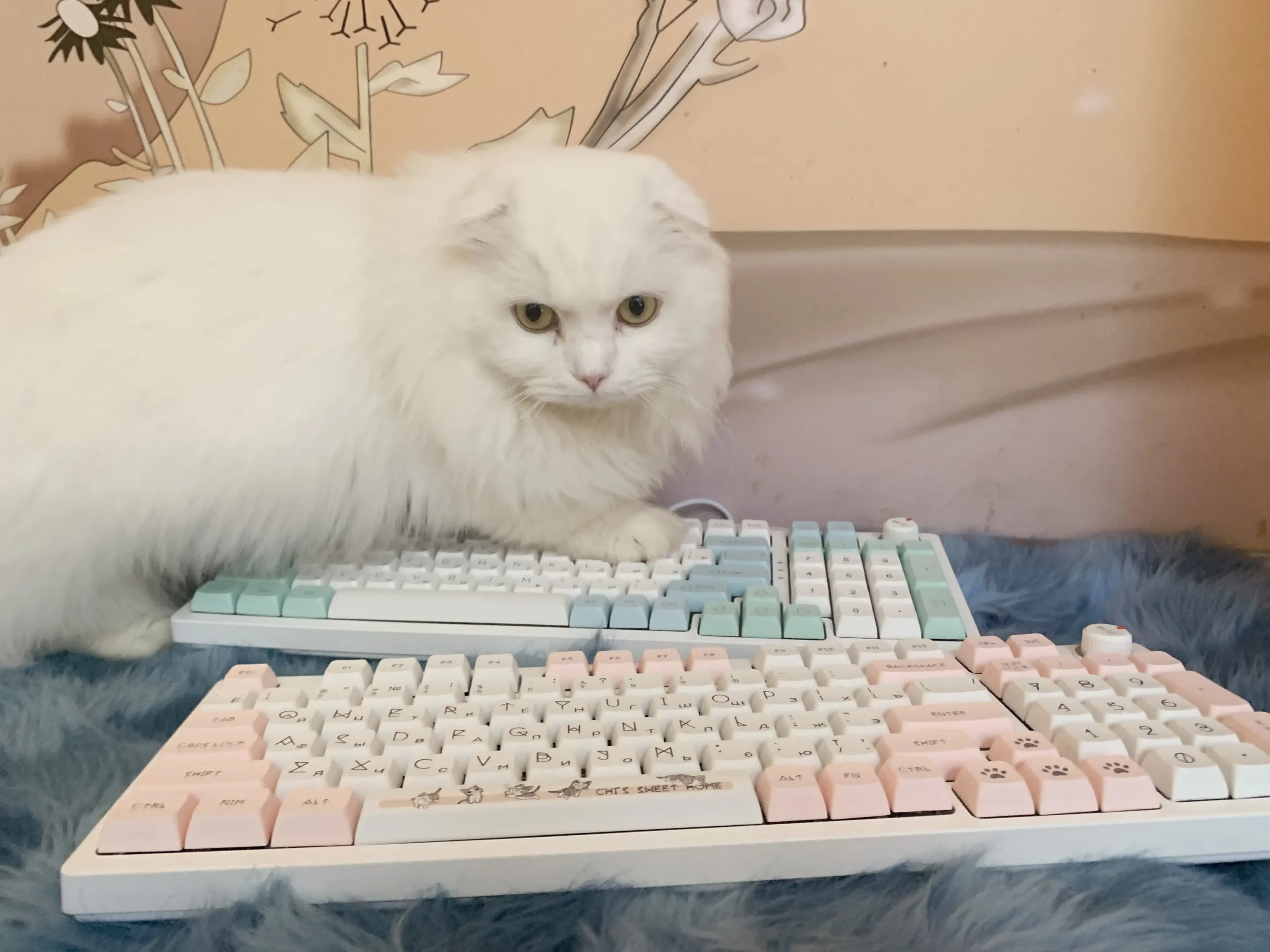 MAIMOOO Russian Layout PBT XDA Keycap Set for Mechanical Keyboards