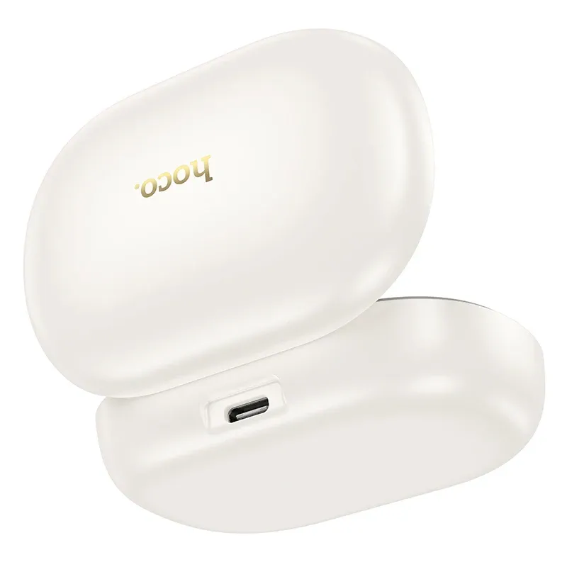 HOCO Open-Ear ANC+ENC Bluetooth 5.4 Earhook Earbuds